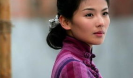 刘涛饰演的电视剧,剧中角色情感纠葛与成长历程