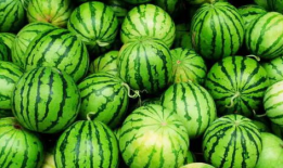 14分钟吃瓜爆料,揭秘娱乐圈惊人内幕