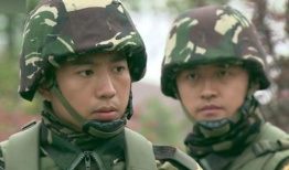 特种兵退伍电视剧,特种兵退伍传奇