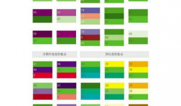 国产精品 入口9色,探索色彩斑斓的美食世界