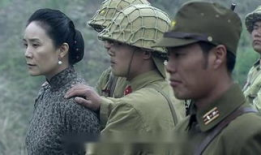 苍狼电视剧,烽火岁月里的铁血传奇