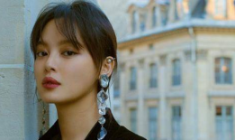 辛芷蕾电视剧,演绎传奇人生，电视剧中的璀璨星辰